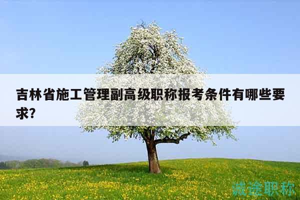 吉林省施工管理副高級職稱報考條件有哪些要求？