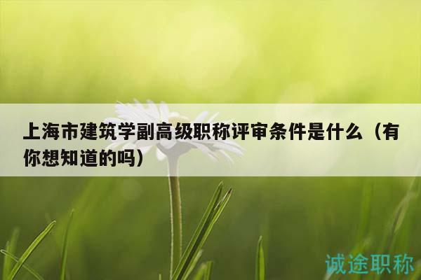 上海市建筑學副高級職稱評審條件是什么（有你想知道的嗎）