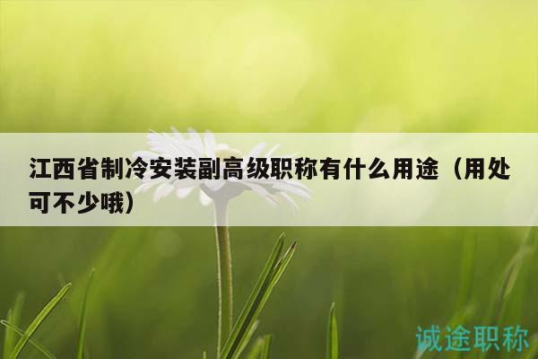 江西省制冷安裝副高級(jí)職稱有什么用途（用處可不少哦）