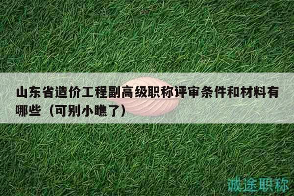 山東省造價(jià)工程副高級職稱評審條件和材料有哪些（可別小瞧了）
