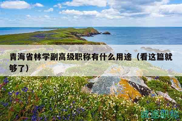 青海省林學(xué)副高級職稱有什么用途（看這篇就夠了）