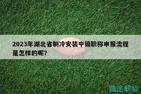 2023年湖北省制冷安裝中級職稱申報(bào)流程是怎樣的呢？