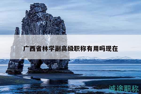 廣西省林學(xué)副高級(jí)職稱有用嗎現(xiàn)在