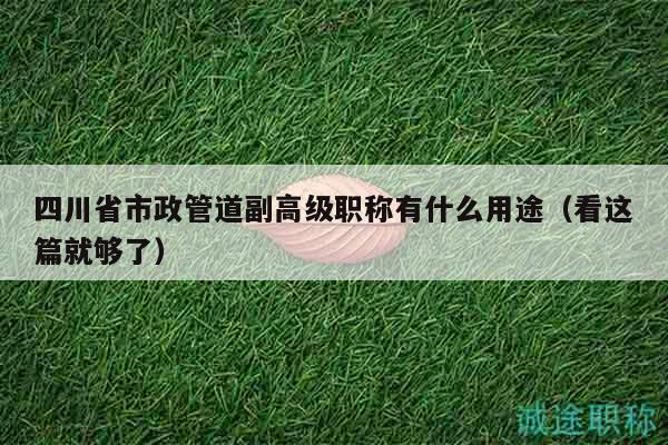 四川省市政管道副高級(jí)職稱有什么用途（看這篇就夠了）
