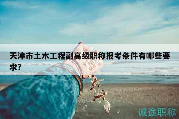 天津市土木工程副高級職稱報(bào)考條件有哪些要求？