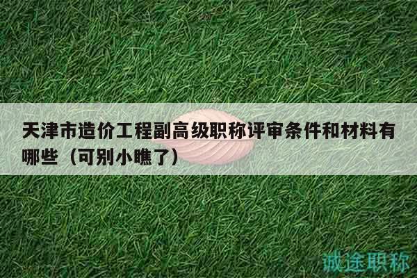 天津市造價工程副高級職稱評審條件和材料有哪些（可別小瞧了）