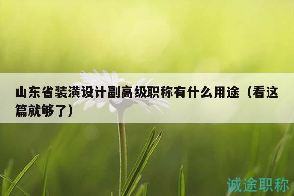 山東省裝潢設計副高級職稱有什么用途（看這篇就夠了）