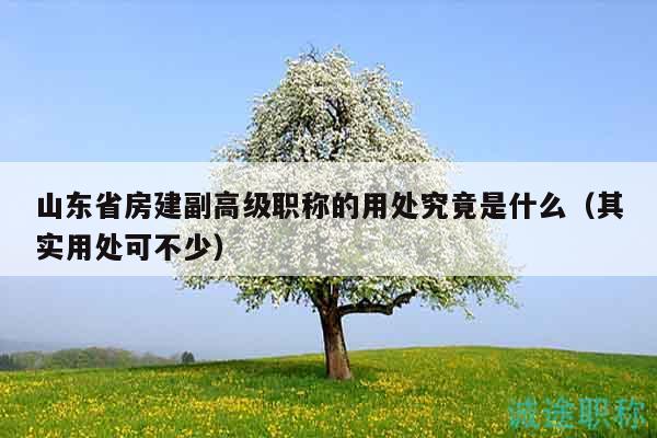山東省房建副高級(jí)職稱(chēng)的用處究竟是什么（其實(shí)用處可不少）