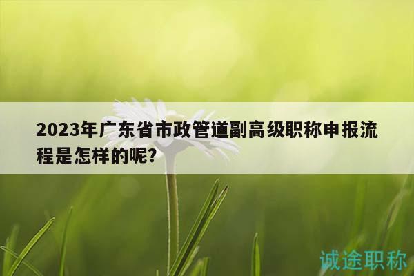2023年廣東省市政管道副高級職稱申報(bào)流程是怎樣的呢？