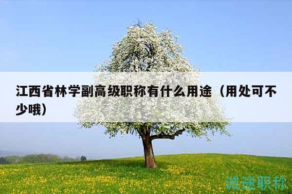 江西省林學(xué)副高級職稱有什么用途（用處可不少哦）