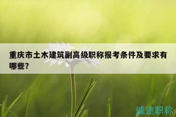 重慶市土木建筑副高級職稱報考條件及要求有哪些？