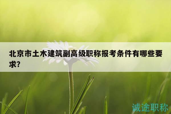 北京市土木建筑副高級(jí)職稱報(bào)考條件有哪些要求？