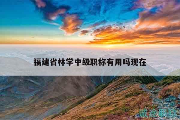 福建省林學中級職稱有用嗎現(xiàn)在
