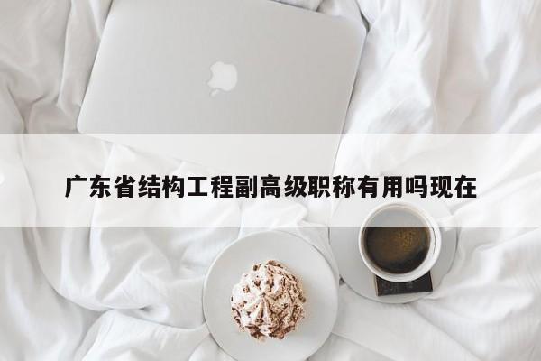 廣東省結(jié)構(gòu)工程副高級(jí)職稱有用嗎現(xiàn)在