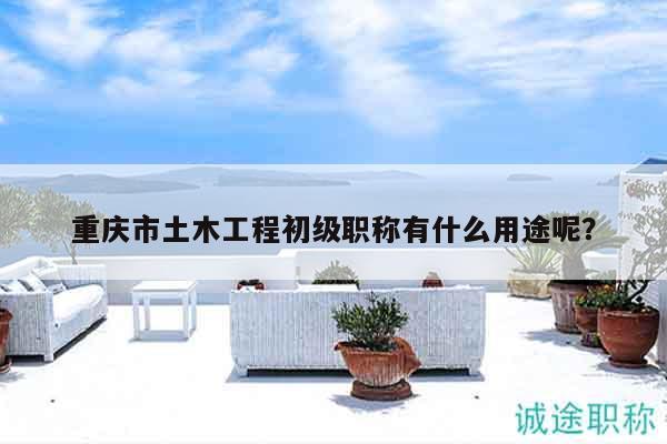 重慶市土木工程初級(jí)職稱(chēng)有什么用途呢？