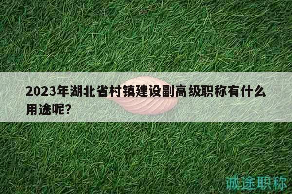 2023年湖北省村鎮(zhèn)建設副高級職稱有什么用途呢？