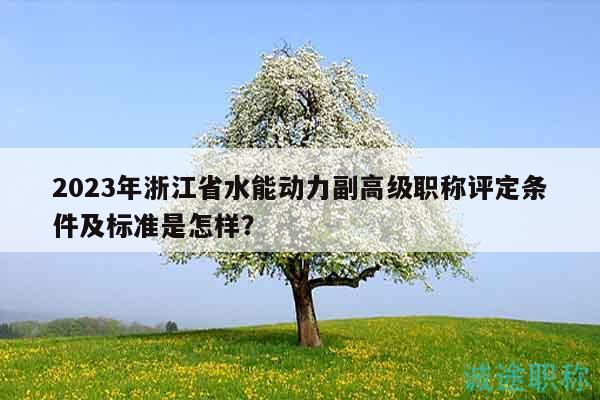 2023年浙江省水能動(dòng)力副高級(jí)職稱(chēng)評(píng)定條件及標(biāo)準(zhǔn)是怎樣？