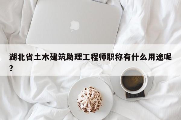 湖北省土木建筑助理工程師職稱有什么用途呢？