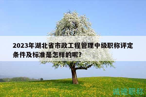 2023年湖北省市政工程管理中級(jí)職稱評(píng)定條件及標(biāo)準(zhǔn)是怎樣的呢？