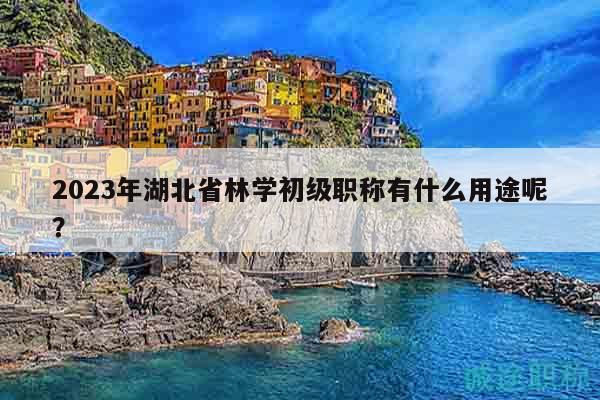 2023年湖北省林學(xué)初級職稱有什么用途呢？