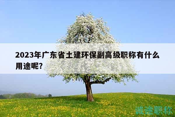 2023年廣東省土建環(huán)保副高級職稱有什么用途呢？