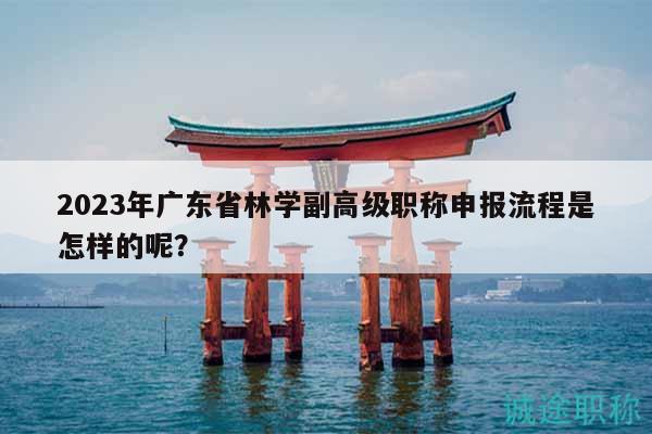 2023年廣東省林學(xué)副高級職稱申報流程是怎樣的呢？