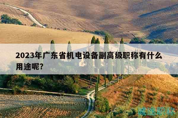 2023年廣東省機(jī)電設(shè)備副高級(jí)職稱(chēng)有什么用途呢？
