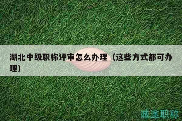 湖北中級職稱評審怎么辦理（這些方式都可辦理）