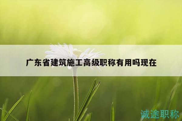 廣東省建筑施工高級(jí)職稱(chēng)有用嗎現(xiàn)在