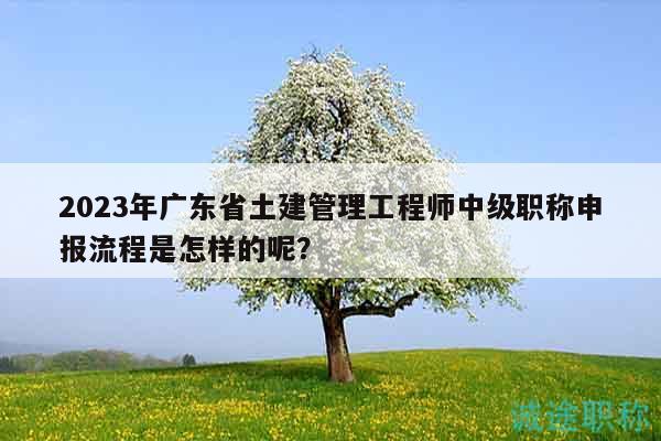 2023年廣東省土建管理工程師中級(jí)職稱申報(bào)流程是怎樣的呢？