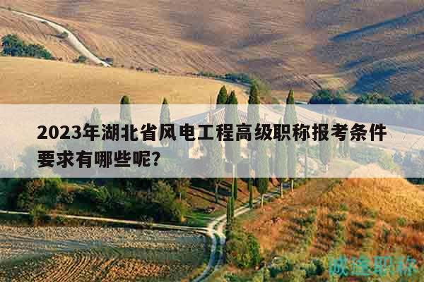 2023年湖北省風電工程高級職稱報考條件要求有哪些呢？