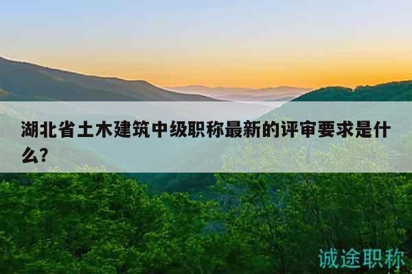 湖北省土木建筑中級職稱最新的評審要求是什么？