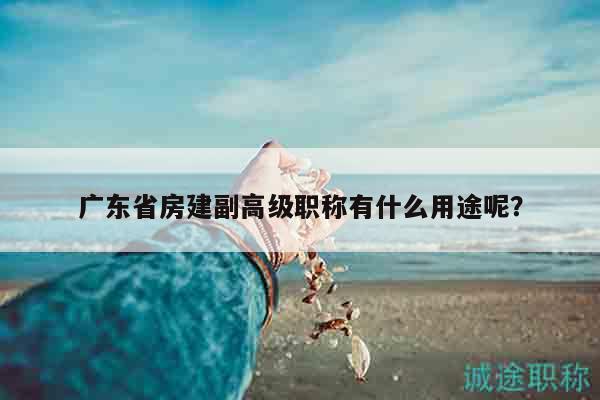 廣東省房建副高級(jí)職稱有什么用途呢？