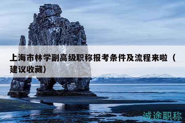 上海市林學副高級職稱報考條件及流程來啦（建議收藏）
