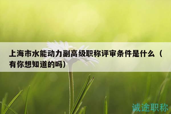 上海市水能動(dòng)力副高級(jí)職稱評(píng)審條件是什么（有你想知道的嗎）