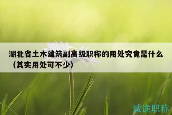 湖北省土木建筑副高級(jí)職稱的用處究竟是什么（其實(shí)用處可不少）