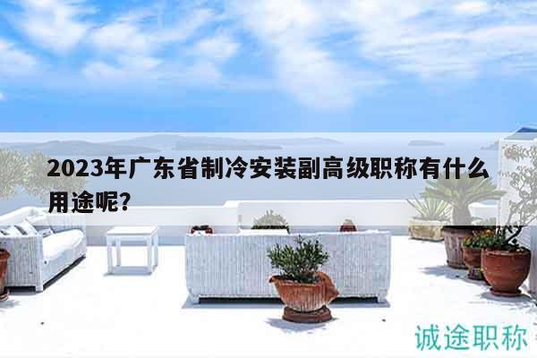 2023年廣東省制冷安裝副高級職稱有什么用途呢？