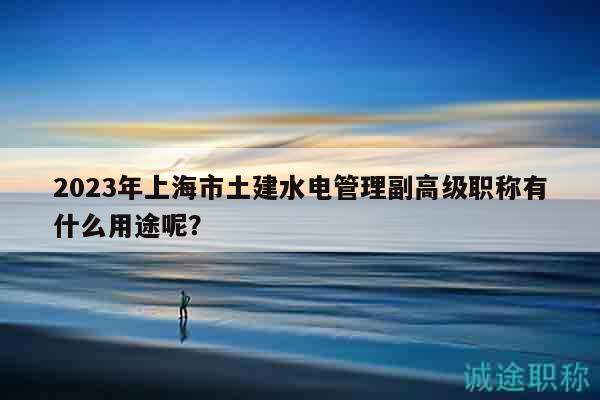 2023年上海市土建水電管理副高級職稱有什么用途呢？