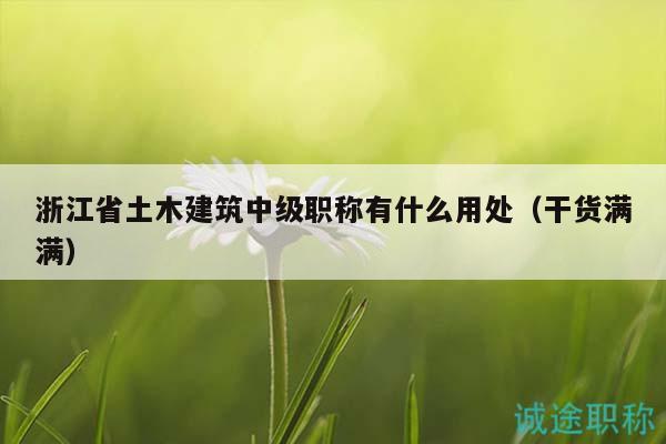 浙江省土木建筑中級(jí)職稱有什么用處（干貨滿滿）