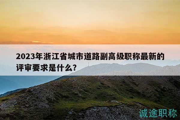 2023年浙江省城市道路副高級職稱最新的評審要求是什么？