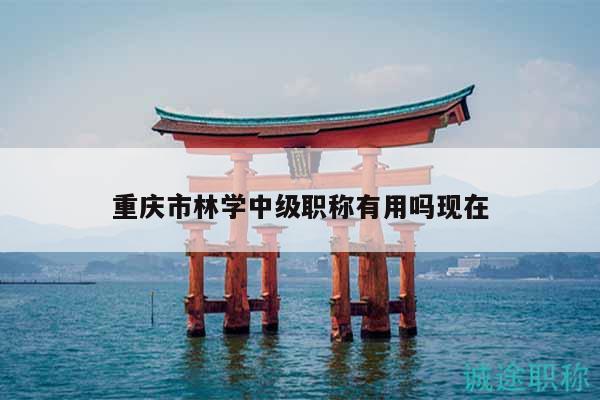 重慶市林學(xué)中級職稱有用嗎現(xiàn)在