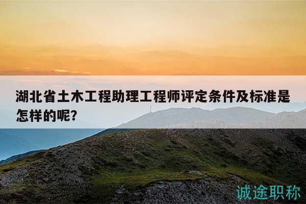 湖北省土木工程助理工程師評(píng)定條件及標(biāo)準(zhǔn)是怎樣的呢？