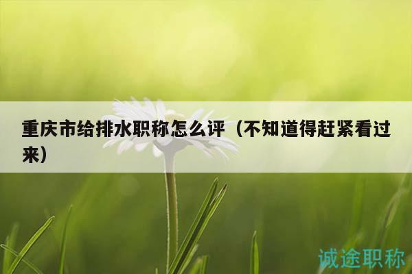 重慶市給排水職稱怎么評(píng)（不知道得趕緊看過(guò)來(lái)）