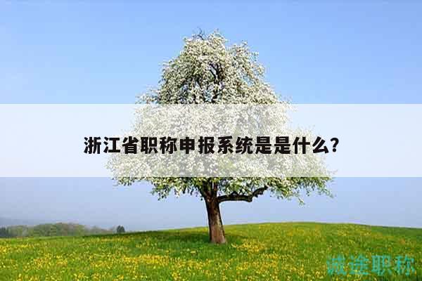 浙江省職稱(chēng)申報(bào)系統(tǒng)是是什么？