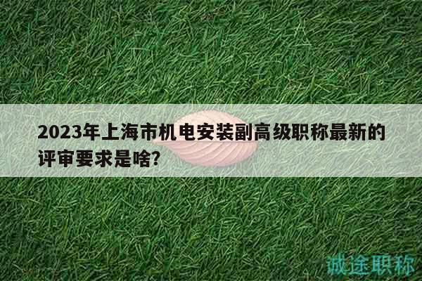 2023年上海市機(jī)電安裝副高級(jí)職稱(chēng)最新的評(píng)審要求是啥？