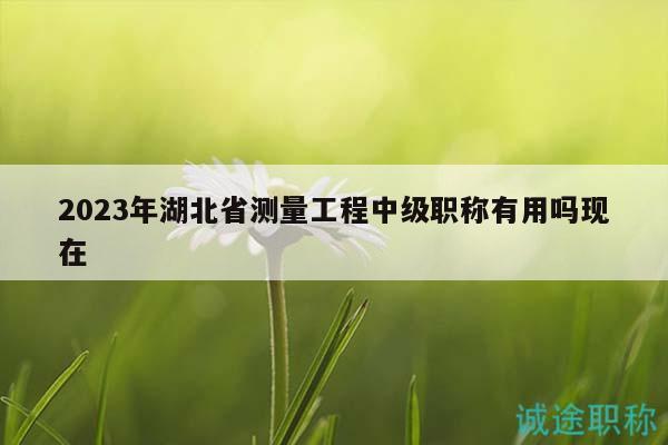 2023年湖北省測(cè)量工程中級(jí)職稱有用嗎現(xiàn)在