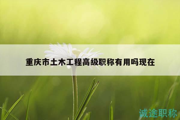 重慶市土木工程高級(jí)職稱有用嗎現(xiàn)在