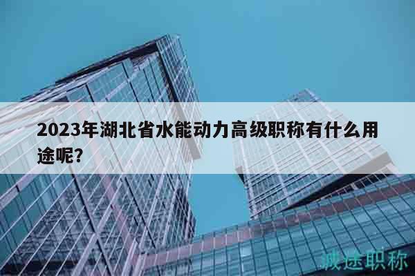 2023年湖北省水能動力高級職稱有什么用途呢？