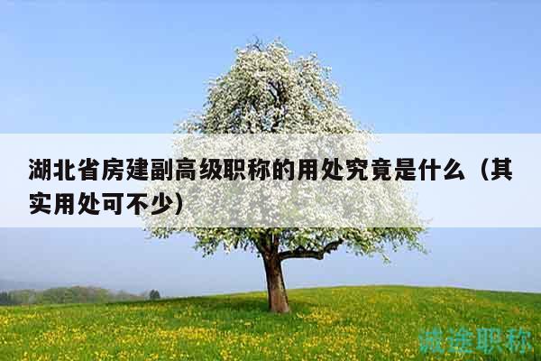 湖北省房建副高級職稱的用處究竟是什么（其實用處可不少）