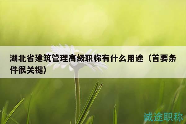 湖北省建筑管理高級(jí)職稱有什么用途（首要條件很關(guān)鍵）